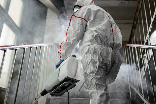 Best Airborne Mold Testing  in La Vale, MD